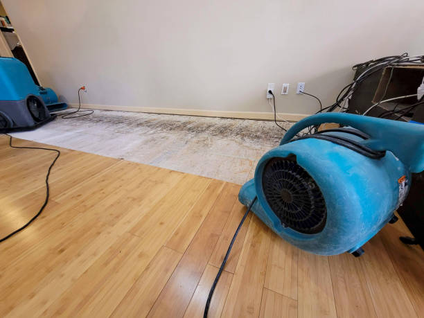 Professional Flood Damage Cleanup technician working in Carlisle, OH